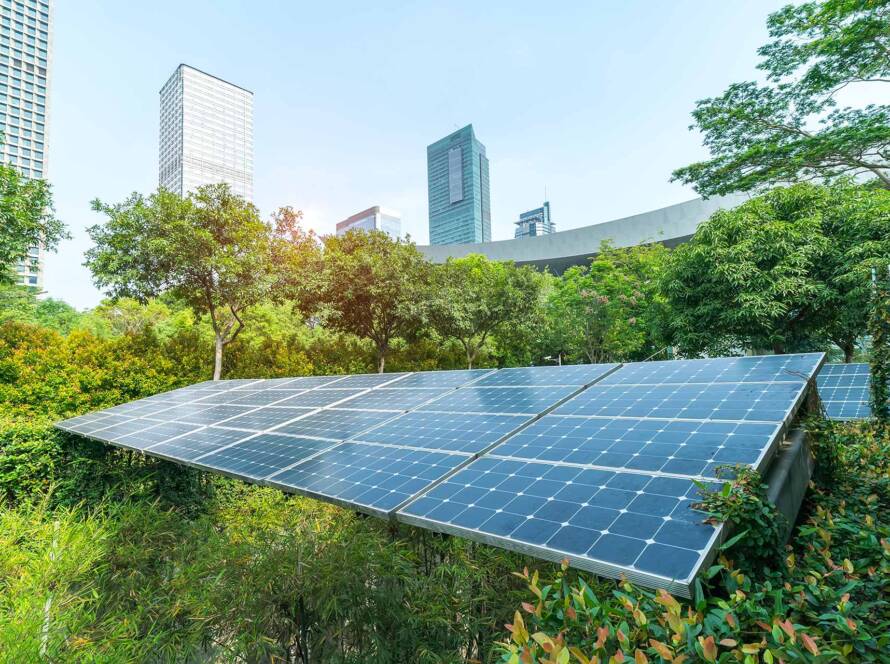 Paneles solares integrados en un jardín, donde las plantas rodean los paneles. Esta imagen se utiliza en la sección de Contacto en el pie