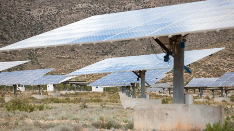 Vista de las placas solares de la instalación de un huerto fotovoltáico en Caudete